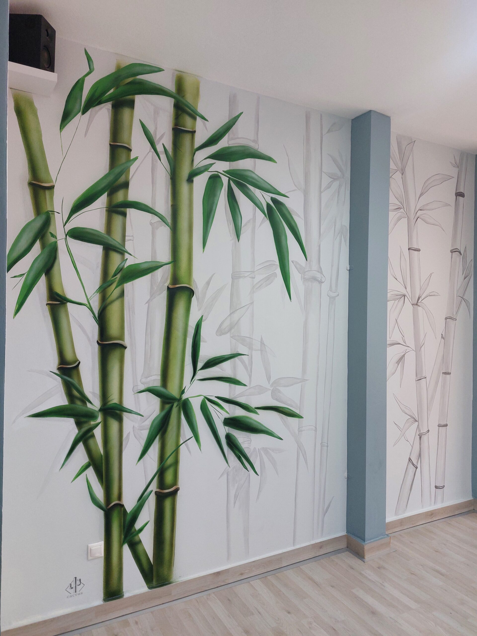 τοιχογραφία σε γυμναστήριο