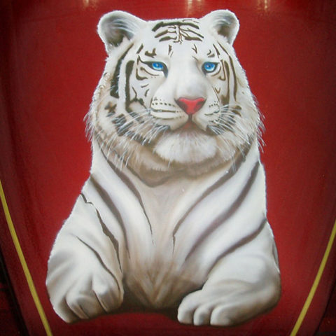 Μηχανές-Tiger