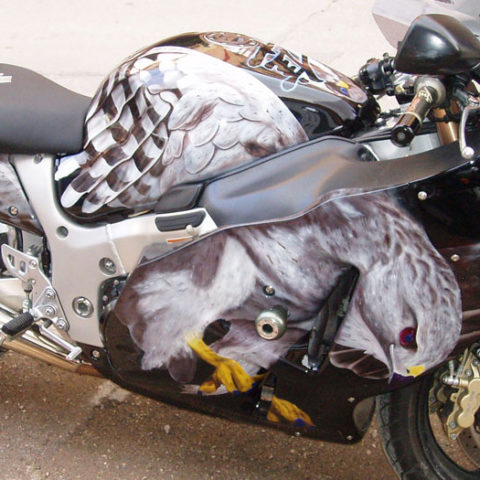 Hayabusa βαφή